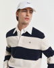 Stripete pologenser
